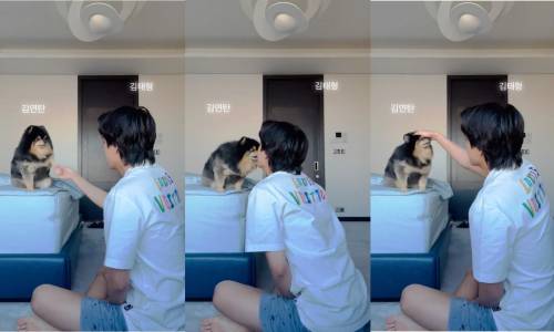 No image