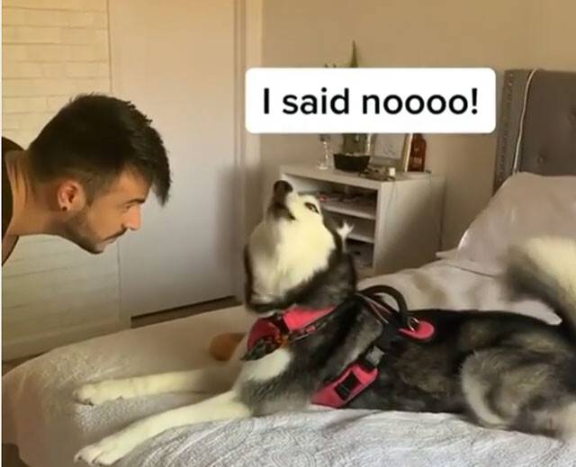 No image