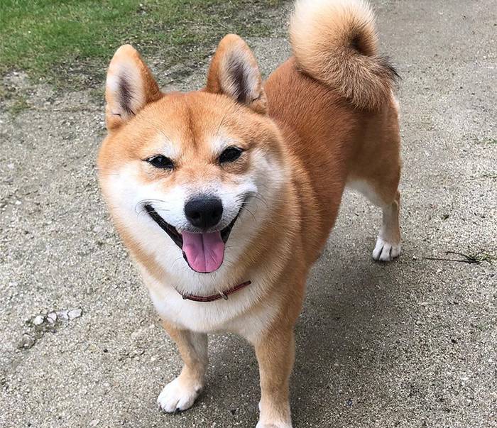 No image