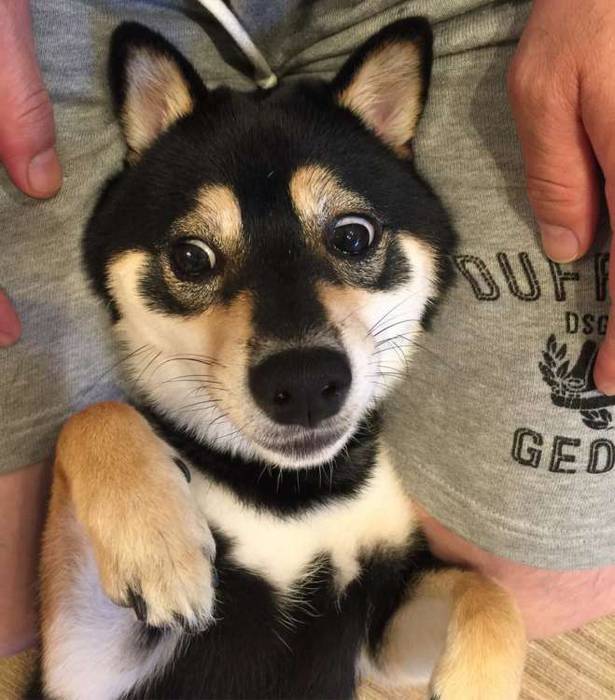 No image