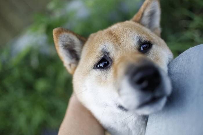 No image