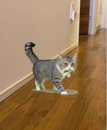 No image