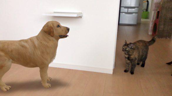 No image