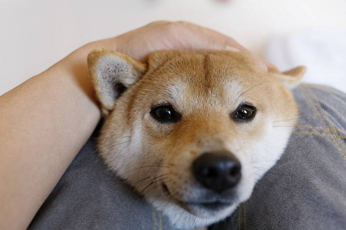 No image