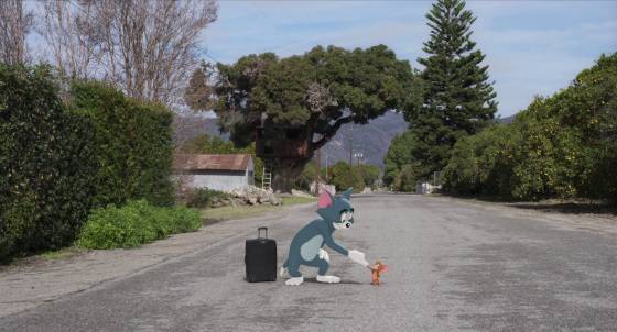 No image