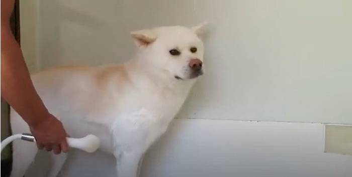 No image