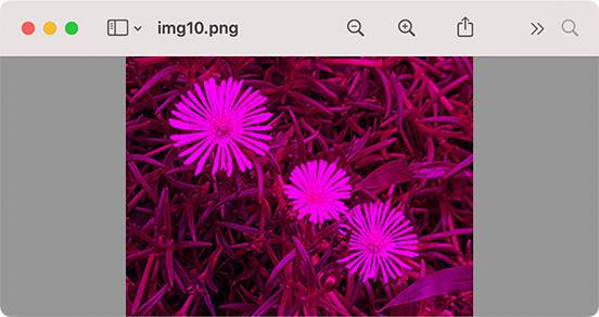 No image