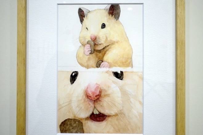 No image