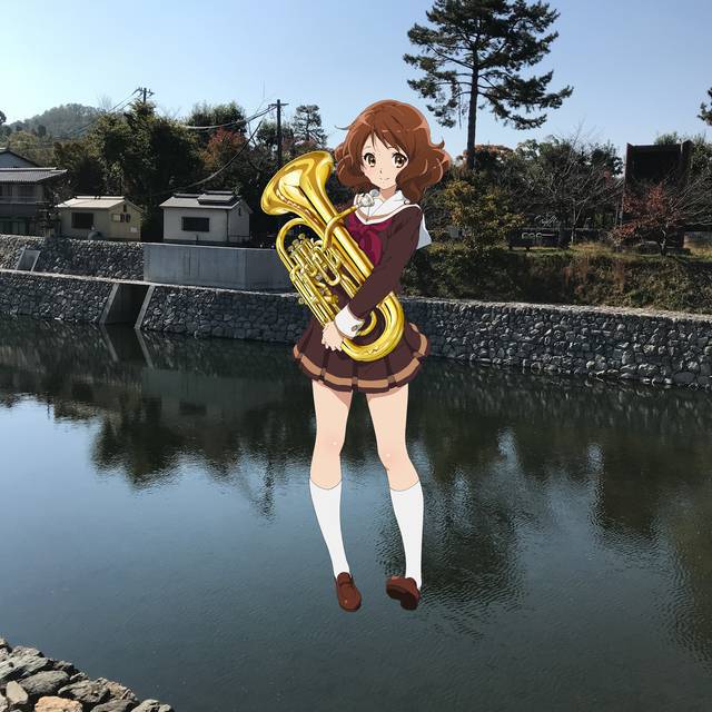 No image