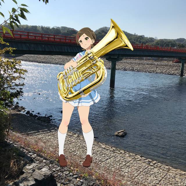No image