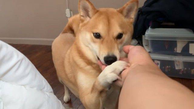 No image