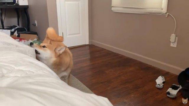 No image