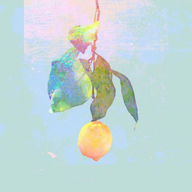 No image
