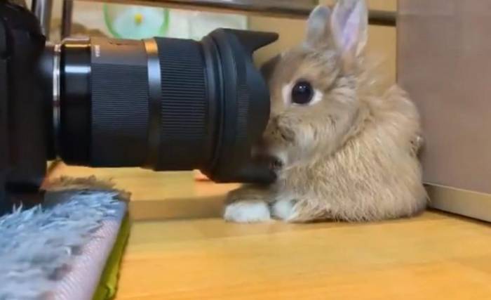 No image