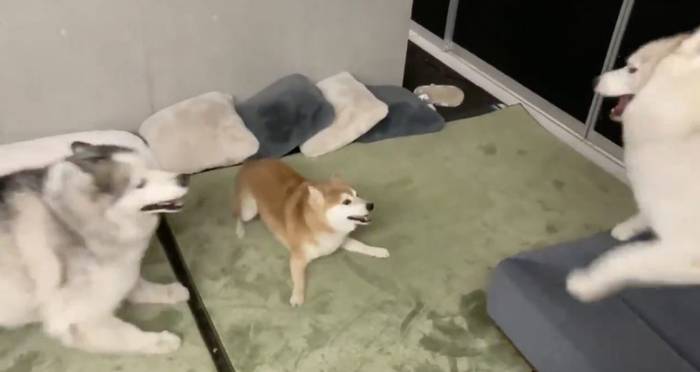 No image