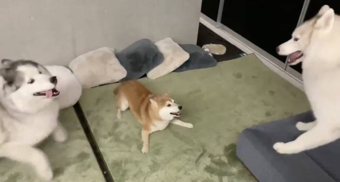 No image