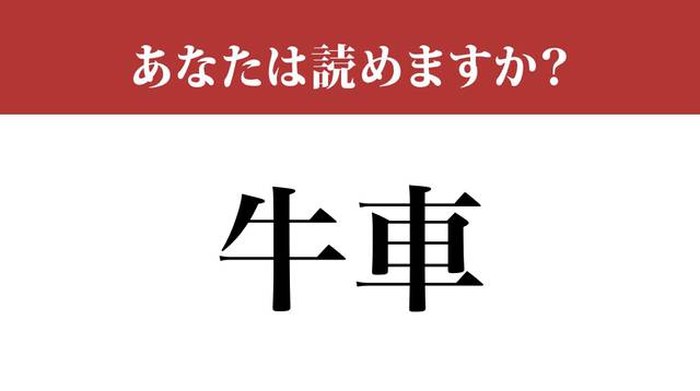 No image