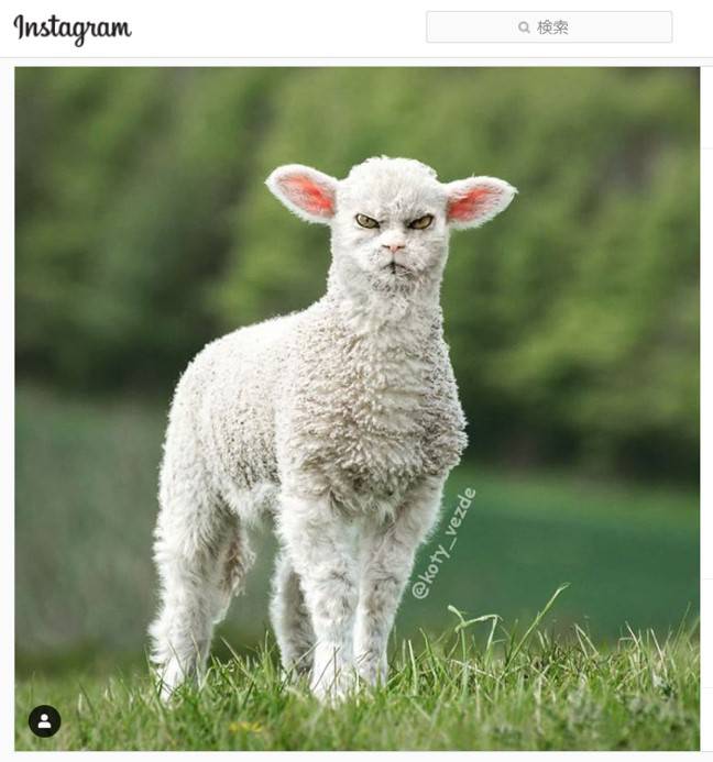 No image