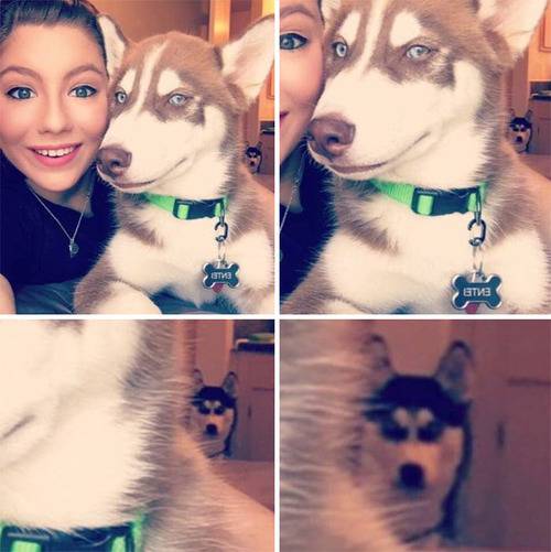No image