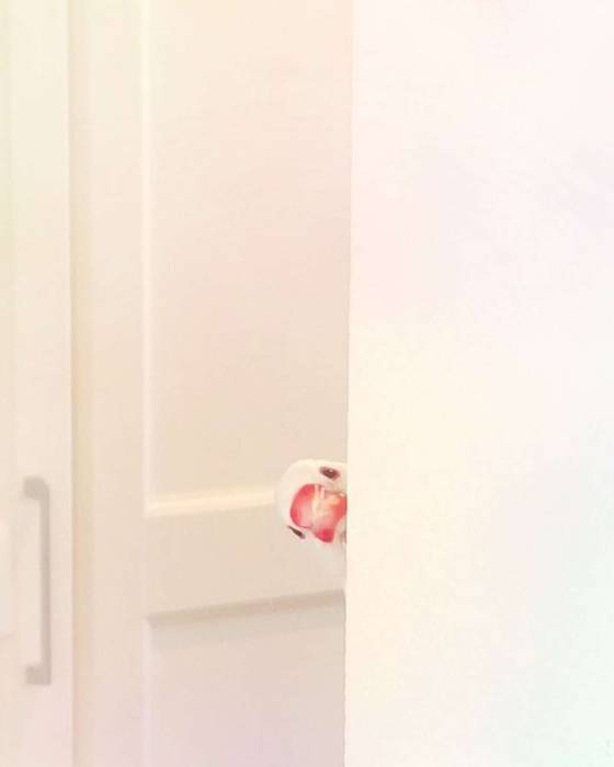 No image