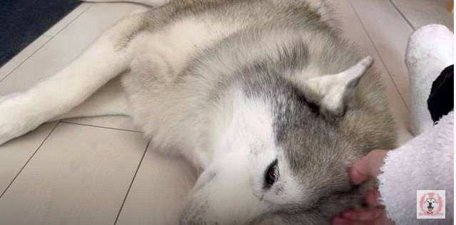 No image