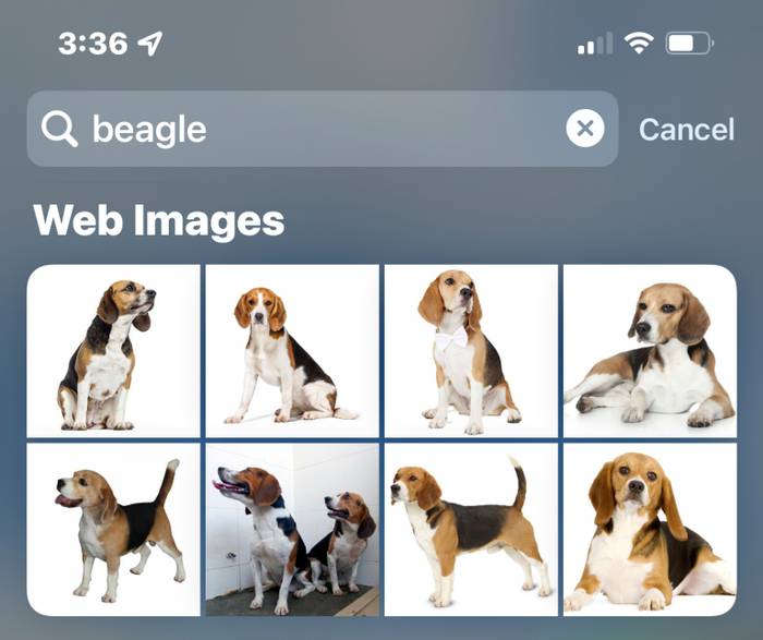 No image