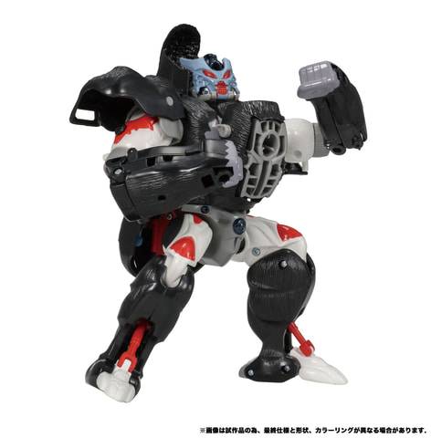 No image