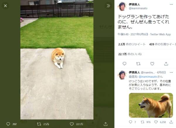 No image
