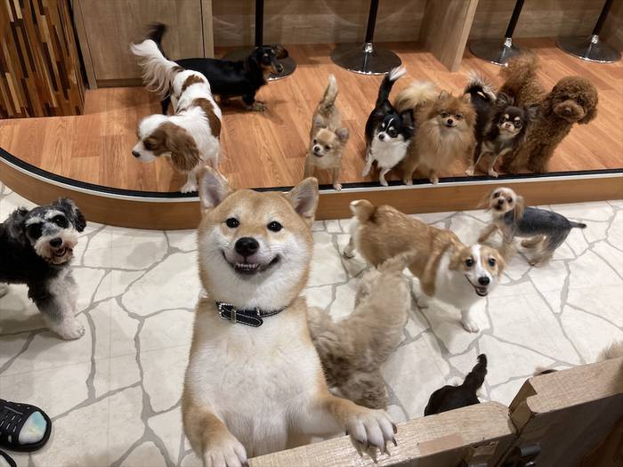 No image