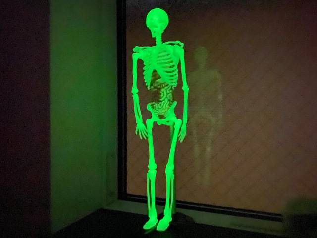 No image