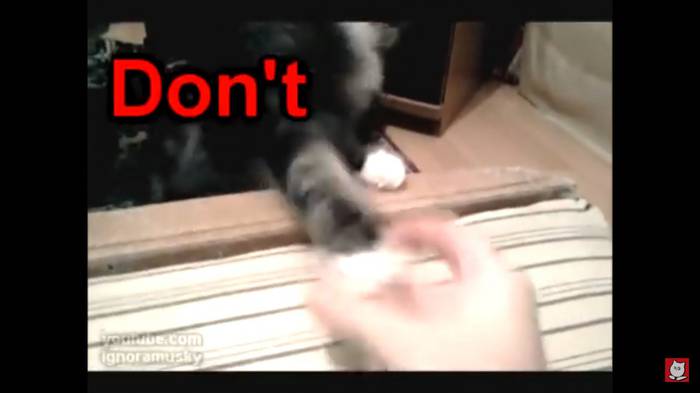 No image