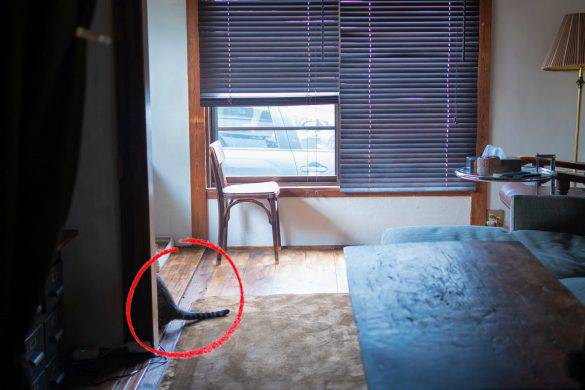 No image