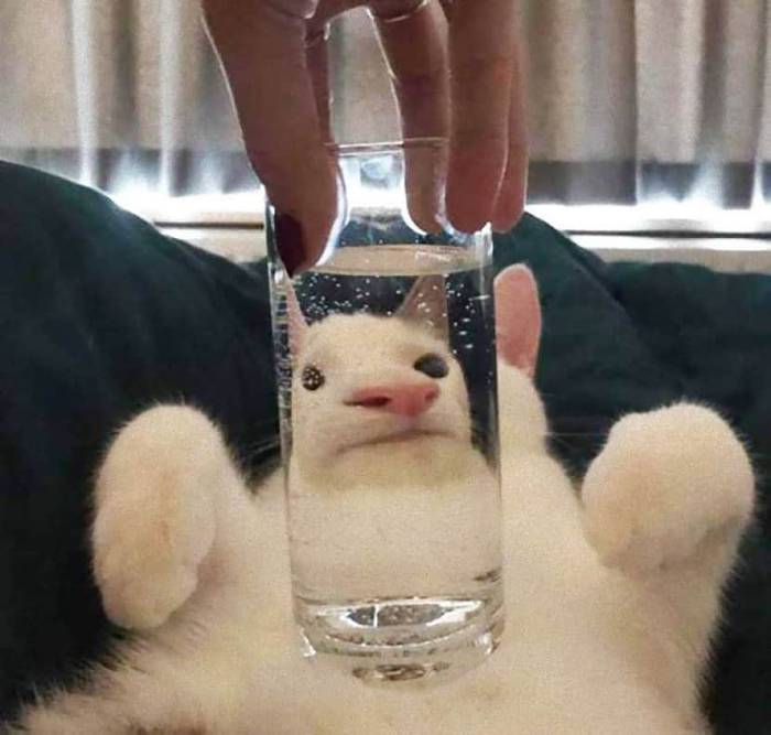 No image