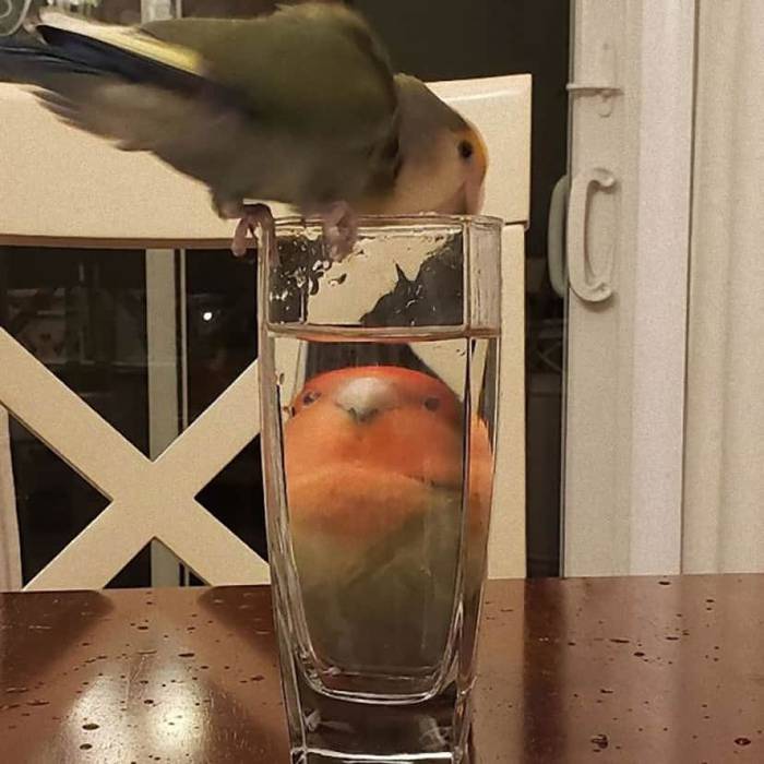 No image