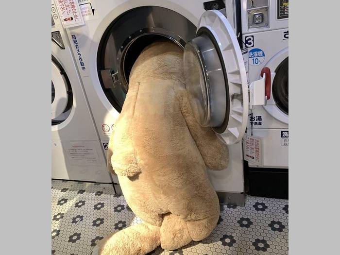 No image