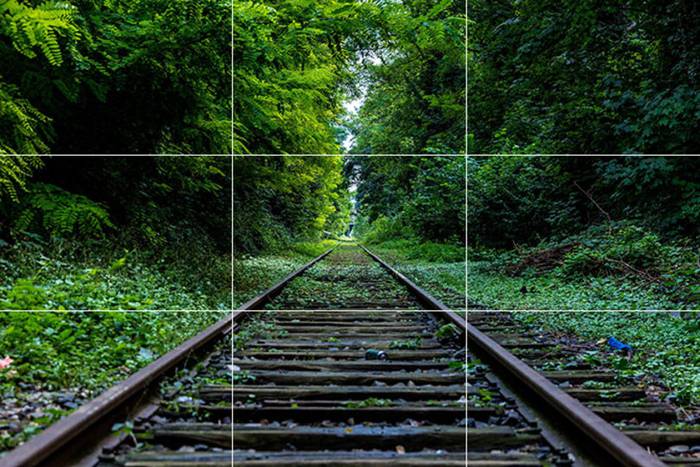 No image