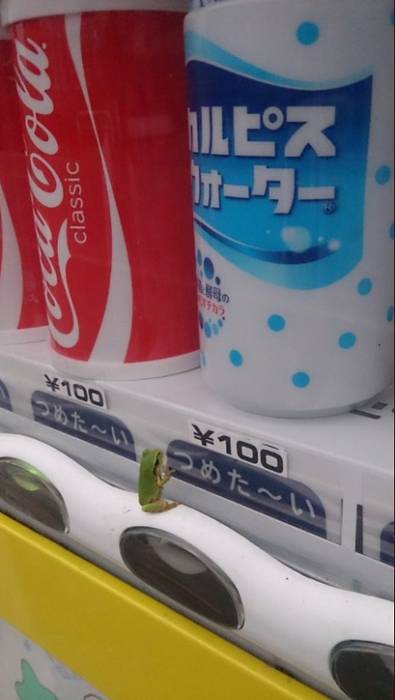No image