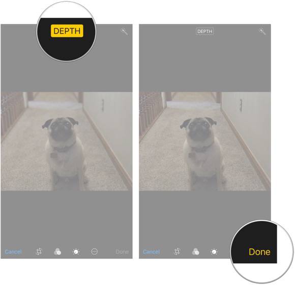 No image
