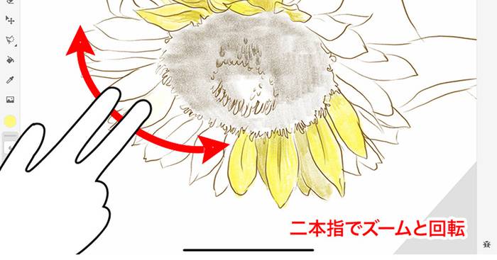 No image