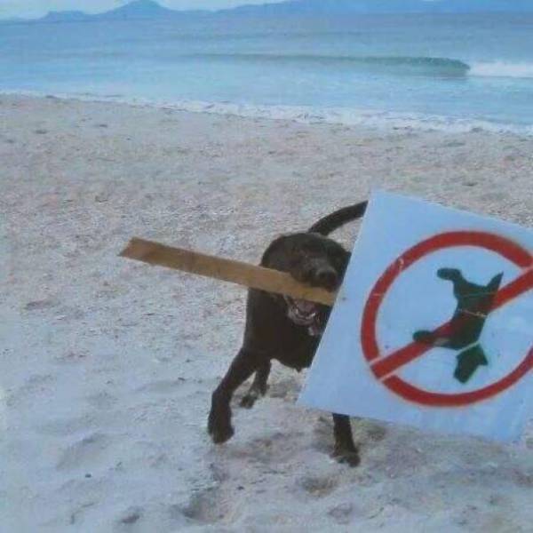 No image