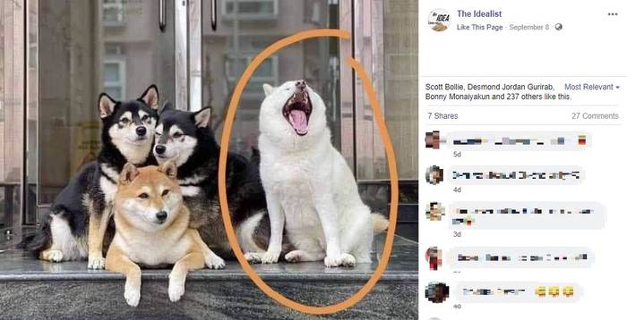 No image