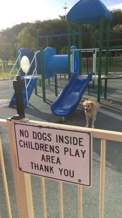 No image
