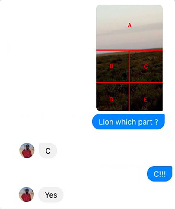No image