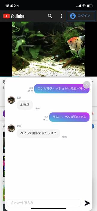 No image