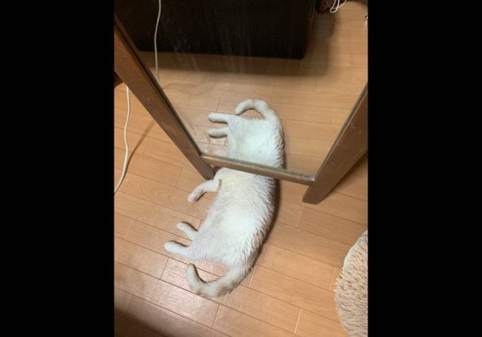 No image