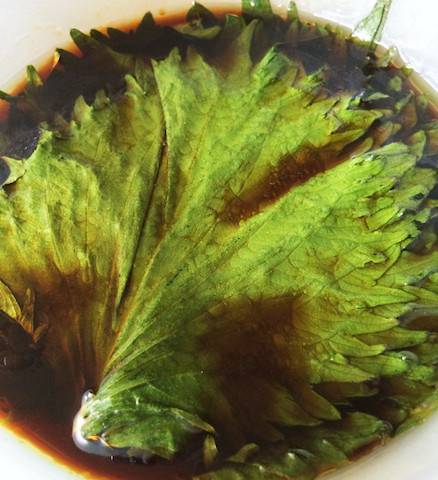 【大量消費にも】ごはんが進む「味付け大葉」レシピ4選 , グノシー