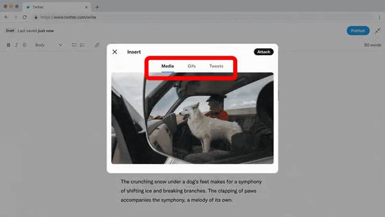 No image