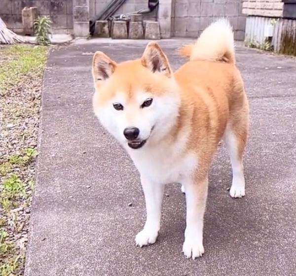 No image