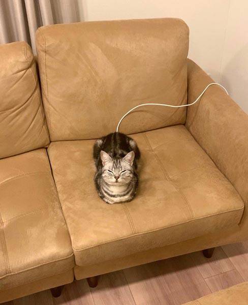 No image