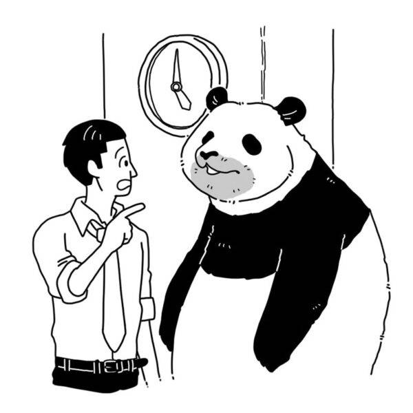 No image